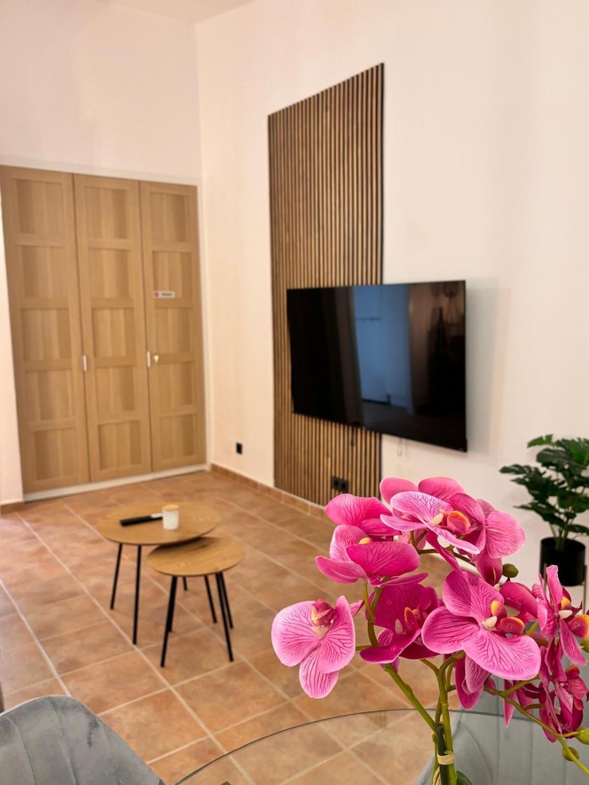 Apartamento Seghers Estepona Playa Y Sol Dış mekan fotoğraf